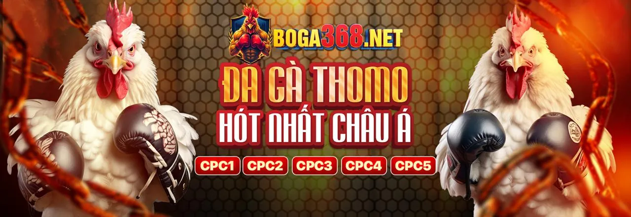 Đá gà trực tuyến 33WIN69 nhà cái, trận đấu kịch tính